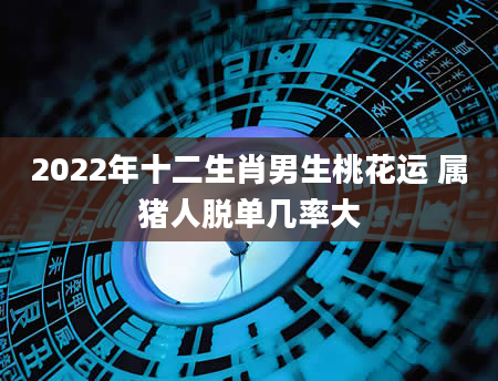 2022年十二生肖男生桃花运 属猪人脱单几率大