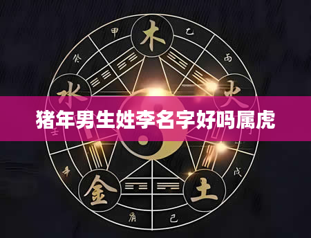 猪年男生姓李名字好吗属虎