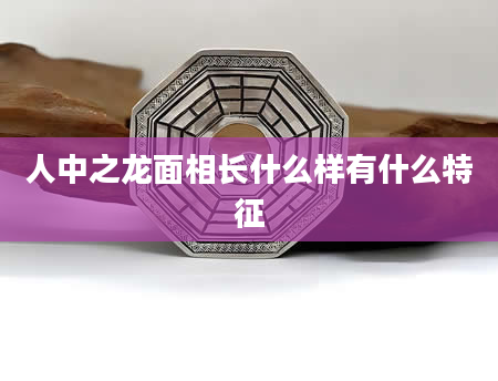 人中之龙面相长什么样有什么特征