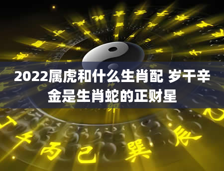2022属虎和什么生肖配 岁干辛金是生肖蛇的正财星
