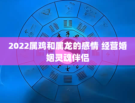 2022属鸡和属龙的感情 经营婚姻灵魂伴侣