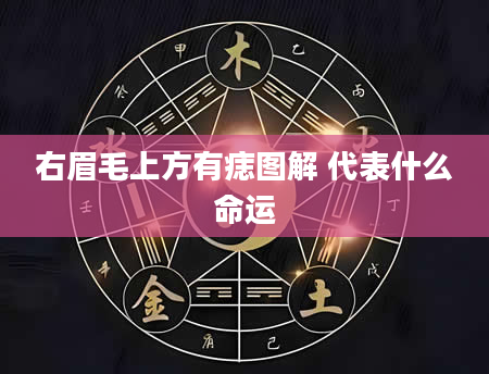 右眉毛上方有痣图解 代表什么命运