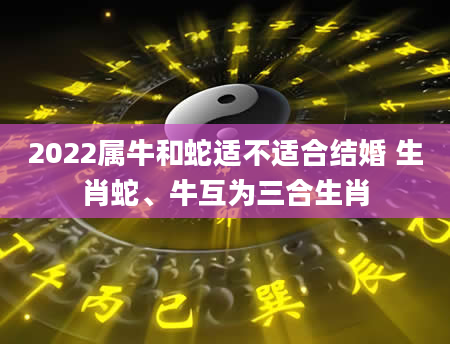 2022属牛和蛇适不适合结婚 生肖蛇、牛互为三合生肖