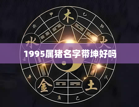 1995属猪名字带坤好吗