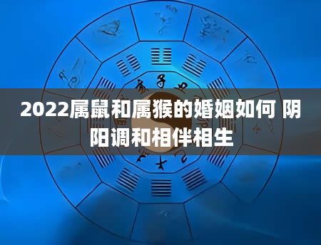 2022属鼠和属猴的婚姻如何 阴阳调和相伴相生