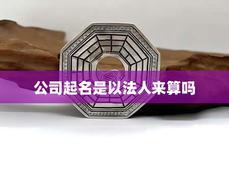 公司起名是以法人来算吗