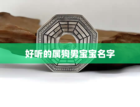好听的属狗男宝宝名字