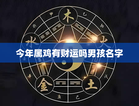 今年属鸡有财运吗男孩名字