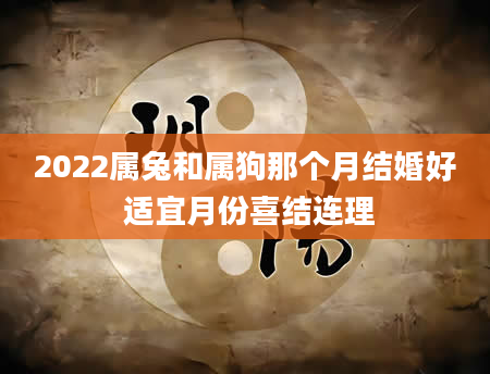 2022属兔和属狗那个月结婚好 适宜月份喜结连理