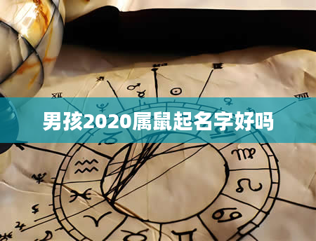 男孩2020属鼠起名字好吗