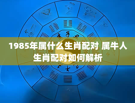 1985年属什么生肖配对 属牛人生肖配对如何解析