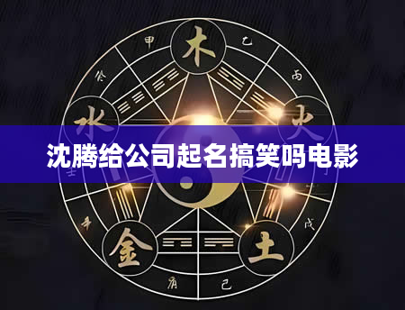沈腾给公司起名搞笑吗电影