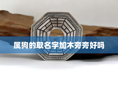 属狗的取名字加木旁旁好吗