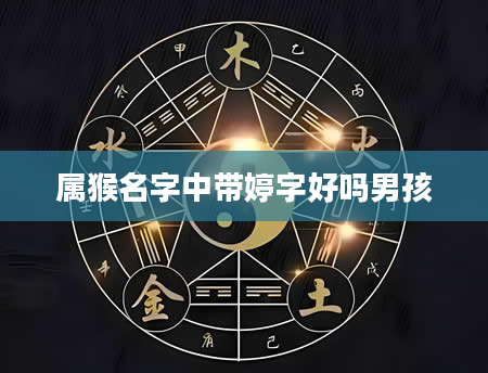 属猴名字中带婷字好吗男孩