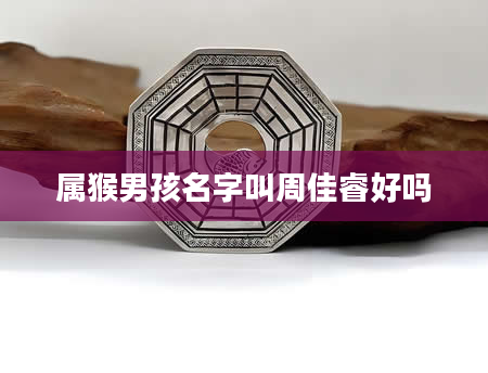 属猴男孩名字叫周佳睿好吗