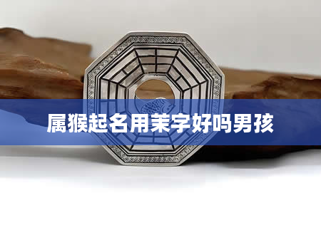 属猴起名用茉字好吗男孩