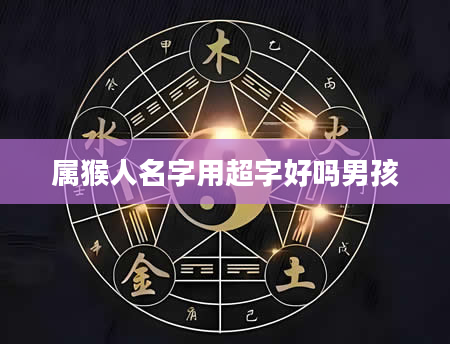 属猴人名字用超字好吗男孩