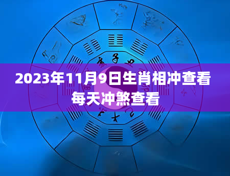 2023年11月9日生肖相冲查看 每天冲煞查看