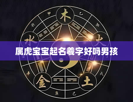 属虎宝宝起名羲字好吗男孩