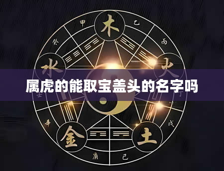 属虎的能取宝盖头的名字吗