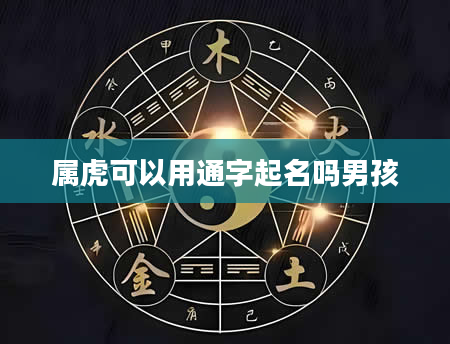 属虎可以用通字起名吗男孩