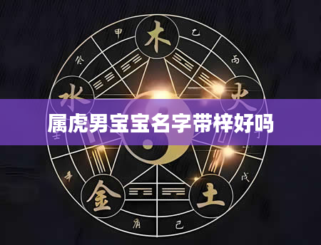 属虎男宝宝名字带梓好吗