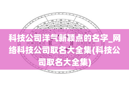 科技公司洋气新颖点的名字_网络科技公司取名大全集(科技公司取名大全集)