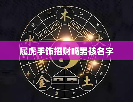 属虎手饰招财吗男孩名字