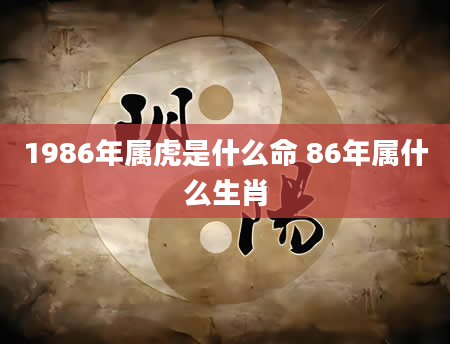 1986年属虎是什么命 86年属什么生肖