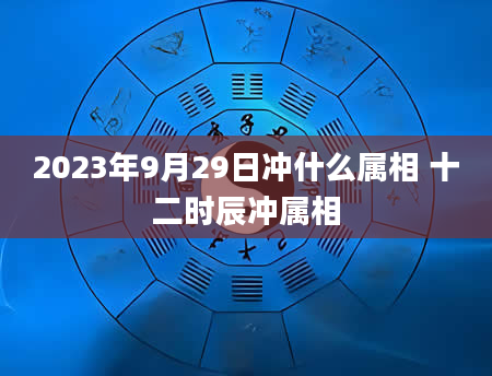 2023年9月29日冲什么属相 十二时辰冲属相