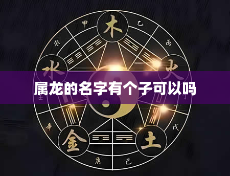 属龙的名字有个子可以吗
