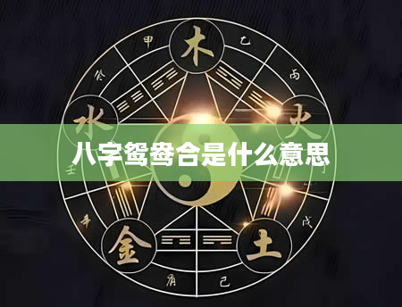 八字鸳鸯合是什么意思