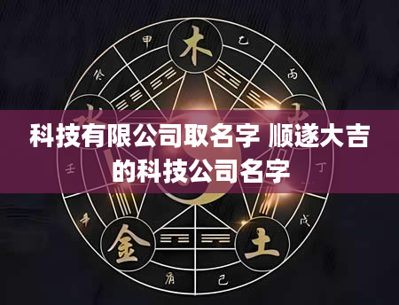 科技有限公司取名字 顺遂大吉的科技公司名字