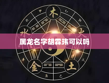 属龙名字胡霖玮可以吗
