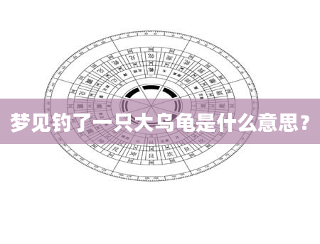 梦见钓了一只大乌龟是什么意思？