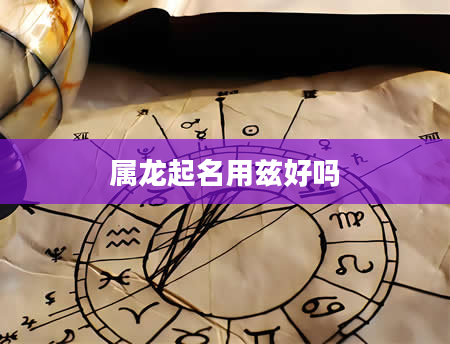 属龙起名用兹好吗