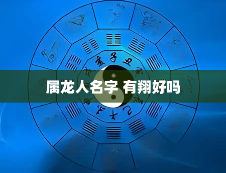 属龙人名字 有翔好吗