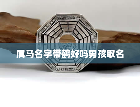 属马名字带鹤好吗男孩取名