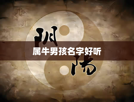 属牛男孩名字好听