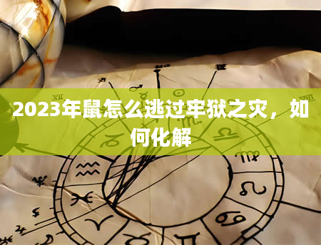 2023年鼠怎么逃过牢狱之灾，如何化解