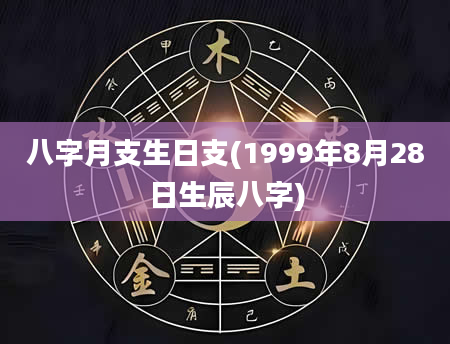 八字月支生日支(1999年8月28日生辰八字)