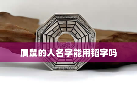 属鼠的人名字能用韬字吗