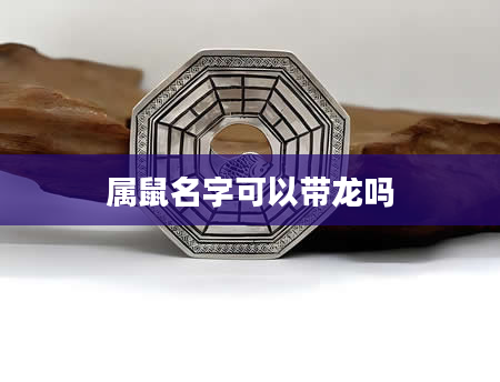 属鼠名字可以带龙吗