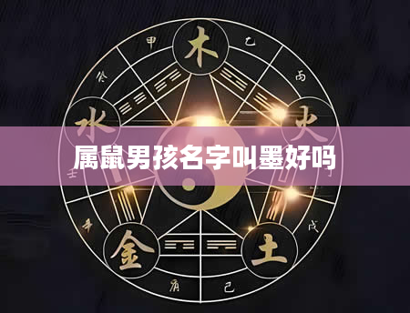 属鼠男孩名字叫墨好吗