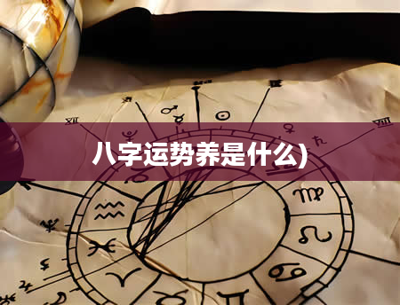 八字运势养是什么)