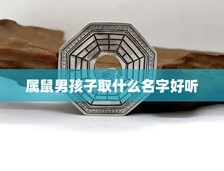 属鼠男孩子取什么名字好听