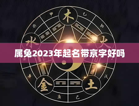 属兔2023年起名带京字好吗