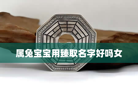 属兔宝宝用臻取名字好吗女