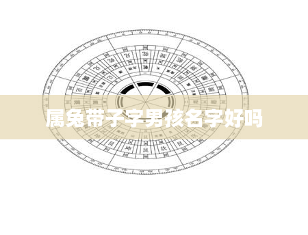 属兔带子字男孩名字好吗