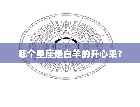哪个星座是白羊的开心果？